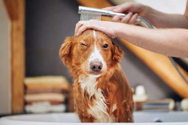 Goed wassen doe je zo