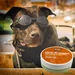 Hemp by Hownd - Skin, Nose & Paw Balm - 50 g